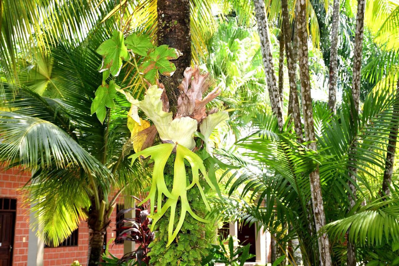 Hotel Ambaibo Rurrenabaque Eksteriør bilde